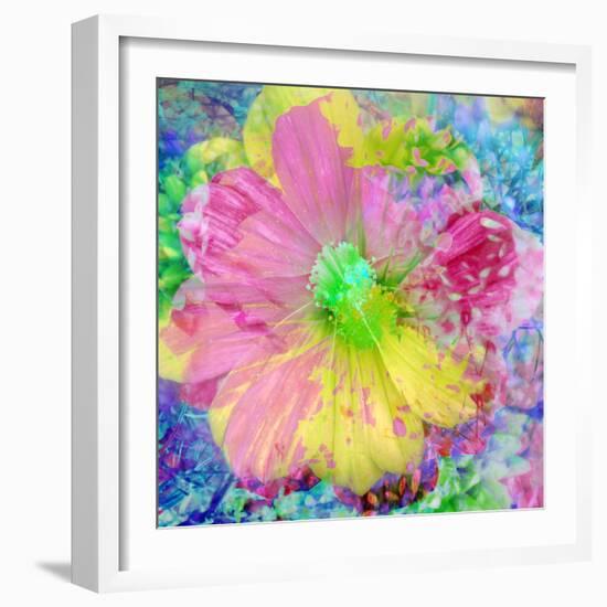 Composing with Coloured Blossoms-Alaya Gadeh-Framed Photographic Print