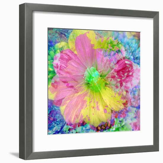 Composing with Coloured Blossoms-Alaya Gadeh-Framed Photographic Print