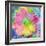 Composing with Coloured Blossoms-Alaya Gadeh-Framed Photographic Print