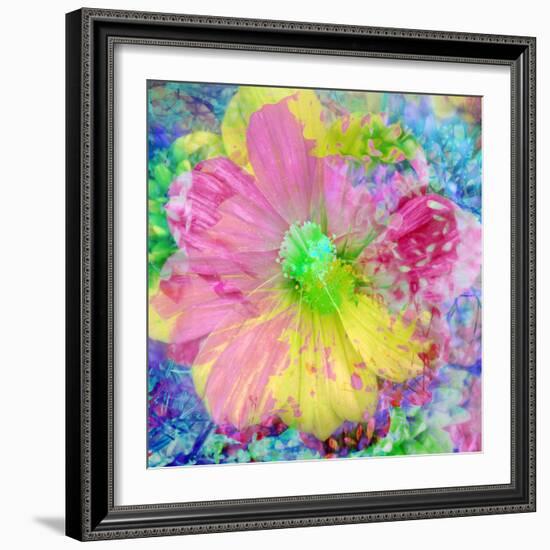 Composing with Coloured Blossoms-Alaya Gadeh-Framed Photographic Print