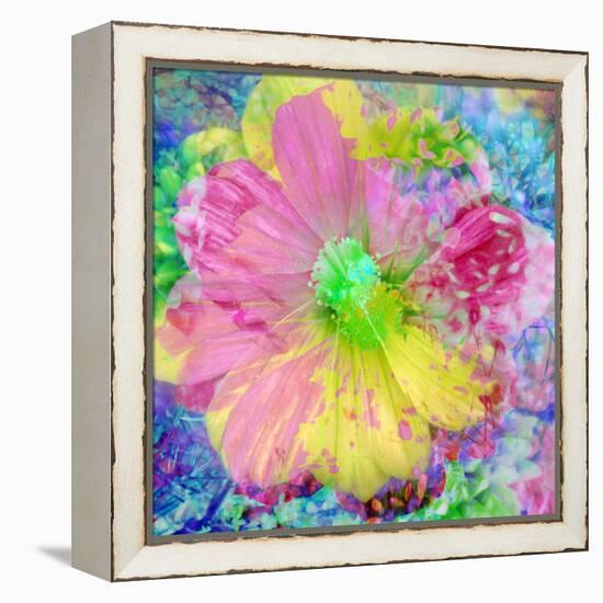 Composing with Coloured Blossoms-Alaya Gadeh-Framed Premier Image Canvas