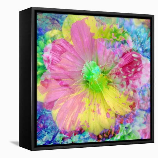 Composing with Coloured Blossoms-Alaya Gadeh-Framed Premier Image Canvas