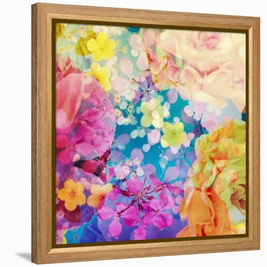 Composing with Coloured Blossoms-Alaya Gadeh-Framed Premier Image Canvas