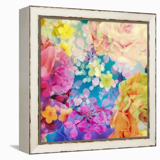 Composing with Coloured Blossoms-Alaya Gadeh-Framed Premier Image Canvas