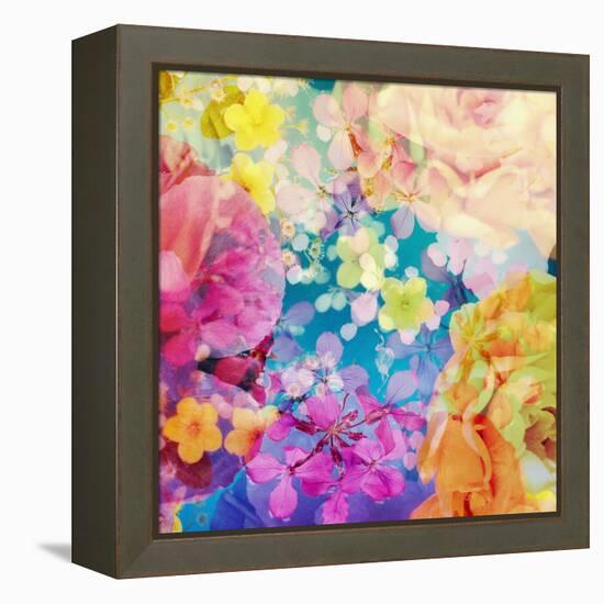 Composing with Coloured Blossoms-Alaya Gadeh-Framed Premier Image Canvas