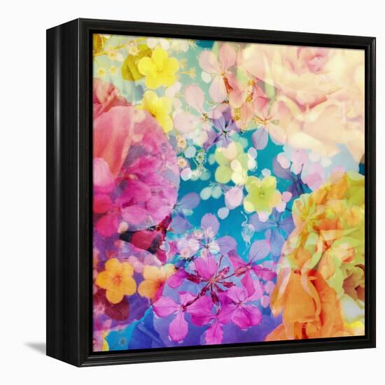 Composing with Coloured Blossoms-Alaya Gadeh-Framed Premier Image Canvas