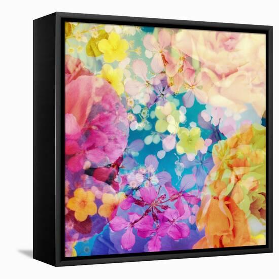 Composing with Coloured Blossoms-Alaya Gadeh-Framed Premier Image Canvas