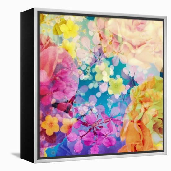 Composing with Coloured Blossoms-Alaya Gadeh-Framed Premier Image Canvas