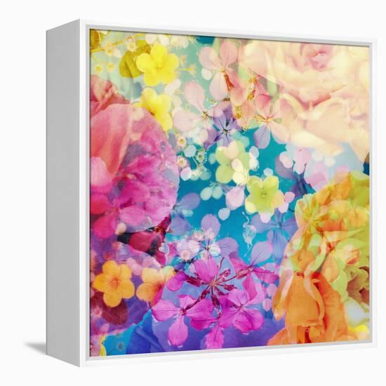 Composing with Coloured Blossoms-Alaya Gadeh-Framed Premier Image Canvas