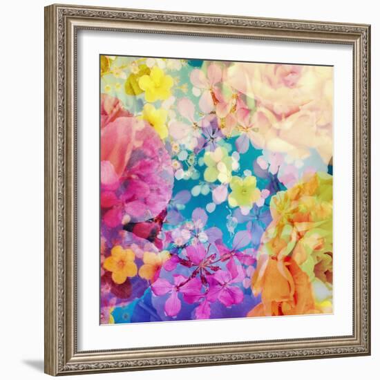 Composing with Coloured Blossoms-Alaya Gadeh-Framed Photographic Print