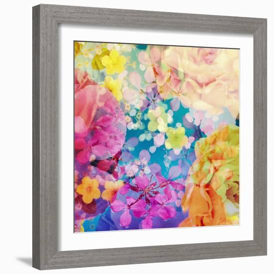 Composing with Coloured Blossoms-Alaya Gadeh-Framed Photographic Print