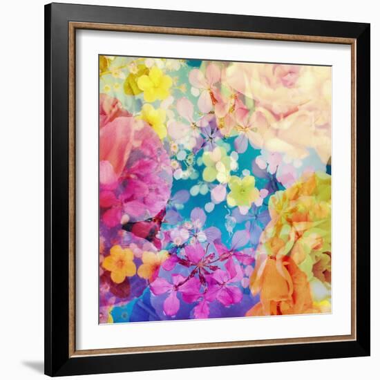 Composing with Coloured Blossoms-Alaya Gadeh-Framed Photographic Print