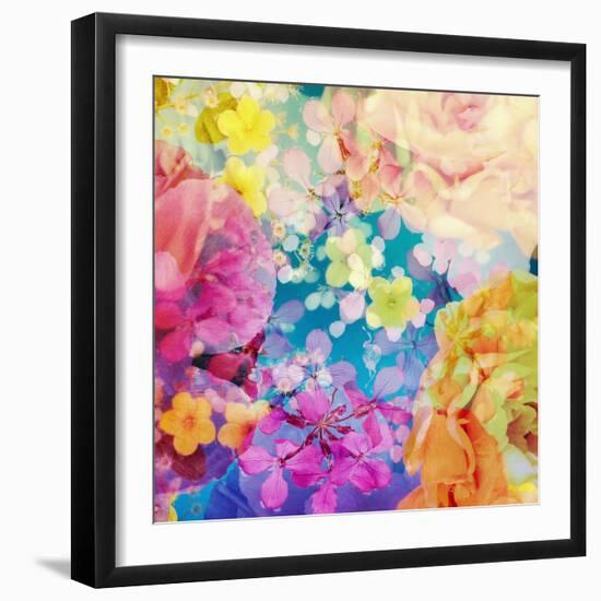 Composing with Coloured Blossoms-Alaya Gadeh-Framed Photographic Print