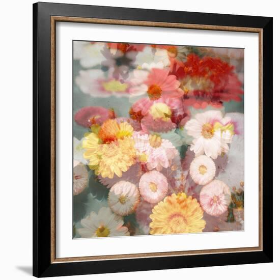 Composing with Coloured Blossoms-Alaya Gadeh-Framed Photographic Print