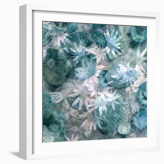 Composing with White Blossoms and Mussels-Alaya Gadeh-Framed Photographic Print