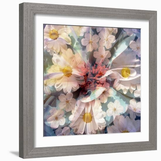Composing with White Blossoms-Alaya Gadeh-Framed Photographic Print