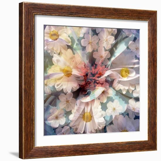 Composing with White Blossoms-Alaya Gadeh-Framed Photographic Print