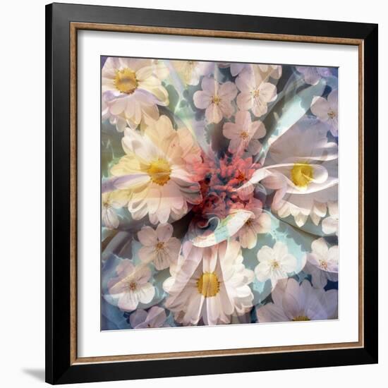 Composing with White Blossoms-Alaya Gadeh-Framed Photographic Print