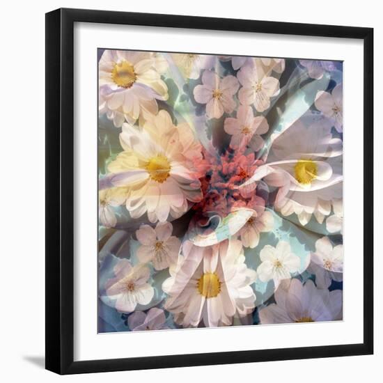 Composing with White Blossoms-Alaya Gadeh-Framed Photographic Print