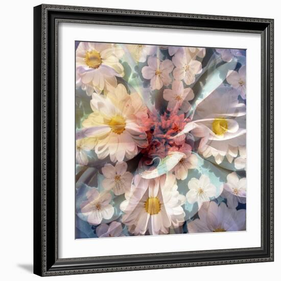 Composing with White Blossoms-Alaya Gadeh-Framed Photographic Print