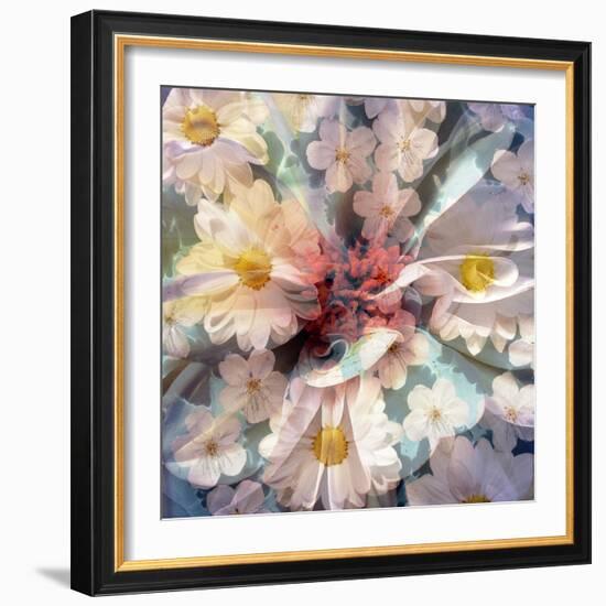 Composing with White Blossoms-Alaya Gadeh-Framed Photographic Print