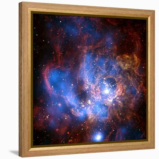 Composite Image from Chandra and Hubble Data, Divided Neighborhood of Some 200 Hot, Young Stars-null-Framed Premier Image Canvas