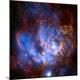 Premium Photographic Print