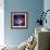 Composite Image from Chandra and Hubble Data, Divided Neighborhood of Some 200 Hot, Young Stars-null-Framed Photographic Print displayed on a wall