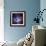 Composite Image from Chandra and Hubble Data, Divided Neighborhood of Some 200 Hot, Young Stars-null-Framed Photographic Print displayed on a wall