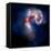 Composite Image of Antennae Galaxies - Interstellar Gas with Elements from Supernova Explosions-null-Framed Premier Image Canvas