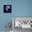 Composite Image of Antennae Galaxies - Interstellar Gas with Elements from Supernova Explosions-null-Premium Photographic Print displayed on a wall