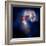 Composite Image of Antennae Galaxies - Interstellar Gas with Elements from Supernova Explosions-null-Framed Photographic Print