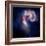 Composite Image of Antennae Galaxies - Interstellar Gas with Elements from Supernova Explosions-null-Framed Photographic Print