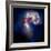 Composite Image of Antennae Galaxies - Interstellar Gas with Elements from Supernova Explosions-null-Framed Photographic Print