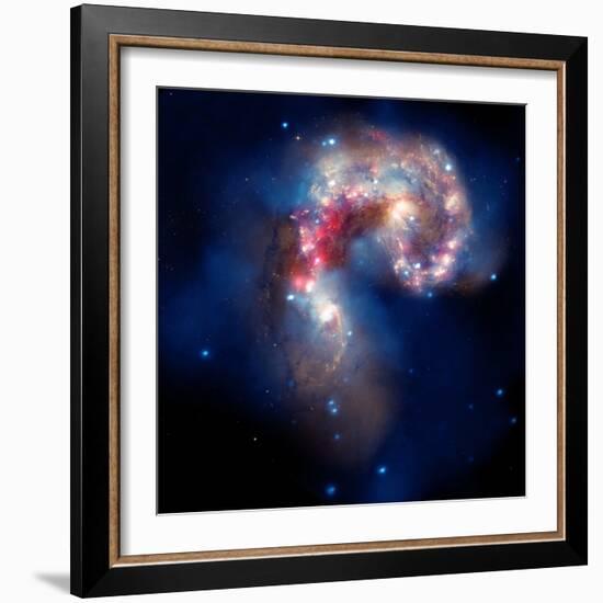 Composite Image of Antennae Galaxies - Interstellar Gas with Elements from Supernova Explosions-null-Framed Photographic Print