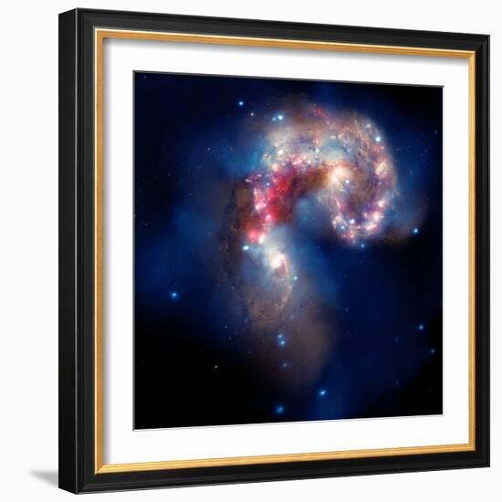 Composite Image of Antennae Galaxies - Interstellar Gas with Elements from Supernova Explosions-null-Framed Photographic Print