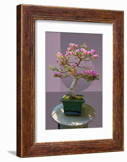 Composite image of Japanese bonsai tree in front of a geometric Asian pattern-null-Framed Photographic Print