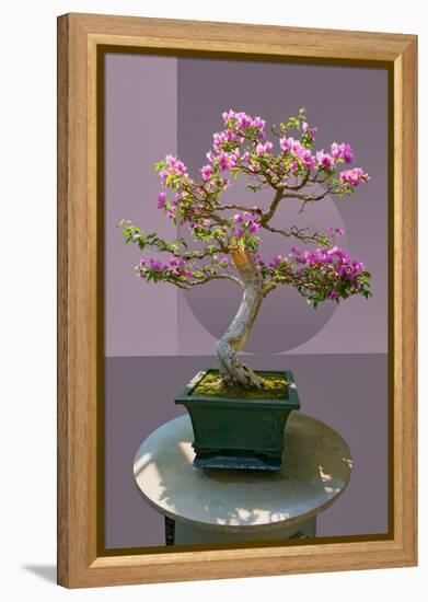 Composite image of Japanese bonsai tree in front of a geometric Asian pattern-null-Framed Premier Image Canvas