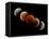 Composite Image of Lunar Eclipse-null-Framed Premier Image Canvas
