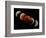 Composite Image of Lunar Eclipse-null-Framed Photographic Print