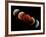 Composite Image of Lunar Eclipse-null-Framed Photographic Print