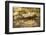 Composite Image of Oxeye Daisy and Texture, Louisville, Kentucky-Adam Jones-Framed Photographic Print