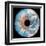 Composite Image of the Earth And a Human-David Parker-Framed Premium Photographic Print