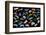 Composite image of tropical nudibranchs, Indo-Pacific-Georgette Douwma-Framed Photographic Print