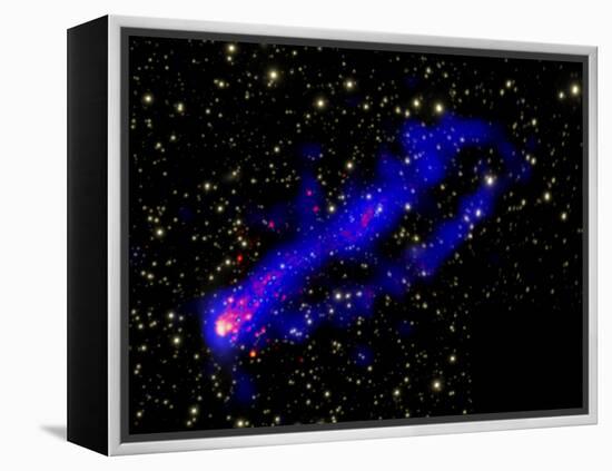 Composite Image, Two Tails Stretching Behind a Galaxy as it Travels Through a Galaxy Cluster-null-Framed Premier Image Canvas