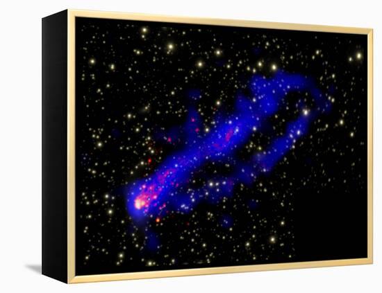 Composite Image, Two Tails Stretching Behind a Galaxy as it Travels Through a Galaxy Cluster-null-Framed Premier Image Canvas