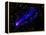 Composite Image, Two Tails Stretching Behind a Galaxy as it Travels Through a Galaxy Cluster-null-Framed Premier Image Canvas