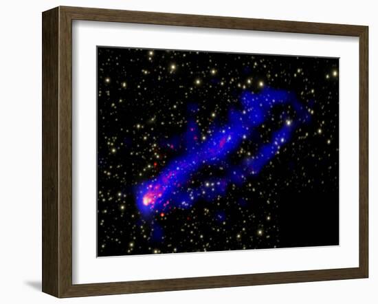 Composite Image, Two Tails Stretching Behind a Galaxy as it Travels Through a Galaxy Cluster-null-Framed Photographic Print