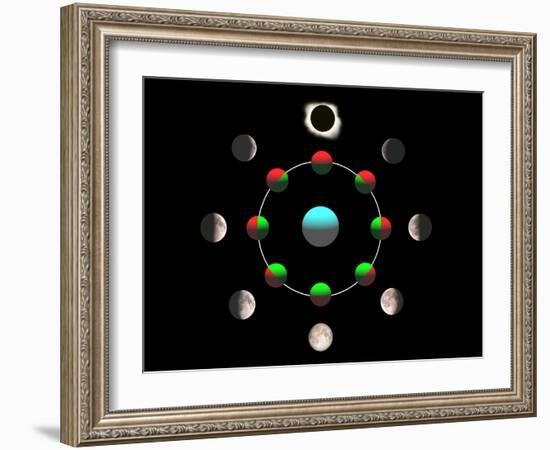 Composite Time-lapse Image of the Lunar Phases-John Sanford-Framed Photographic Print