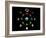 Composite Time-lapse Image of the Lunar Phases-John Sanford-Framed Photographic Print